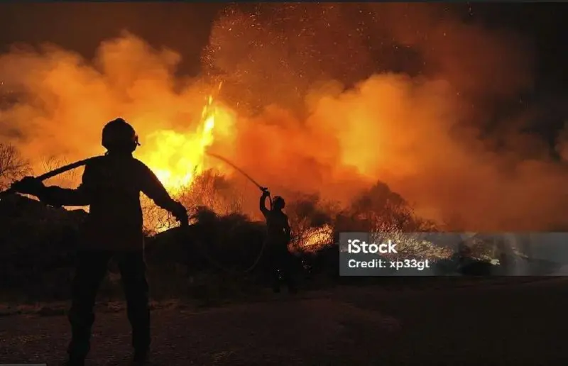 Imagem ilustrativa de Curso brigada de incêndio